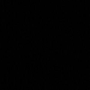 Meet your Posher, Nina